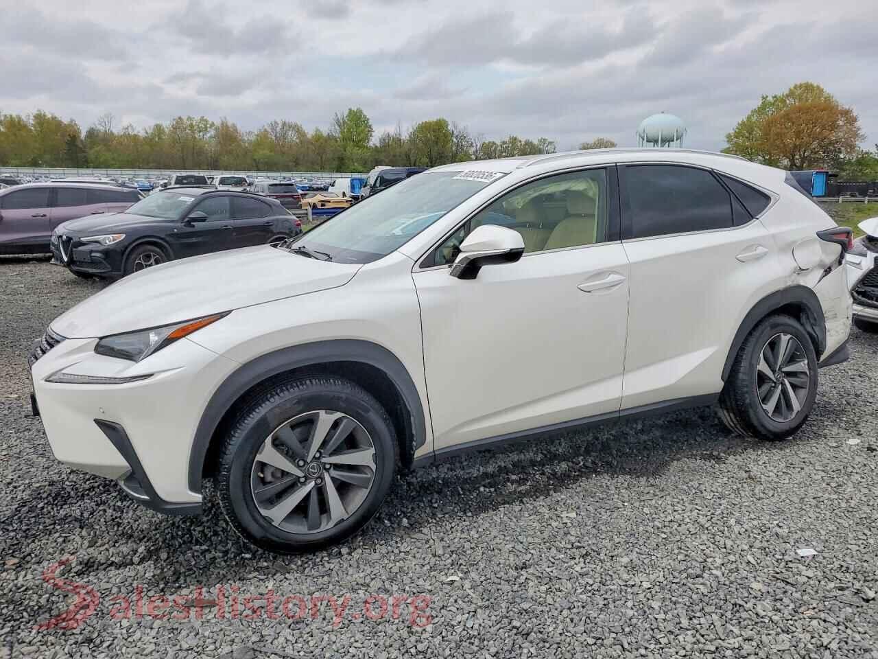 2020 LEXUS NX — VIN JTJGARDZ8L2234630