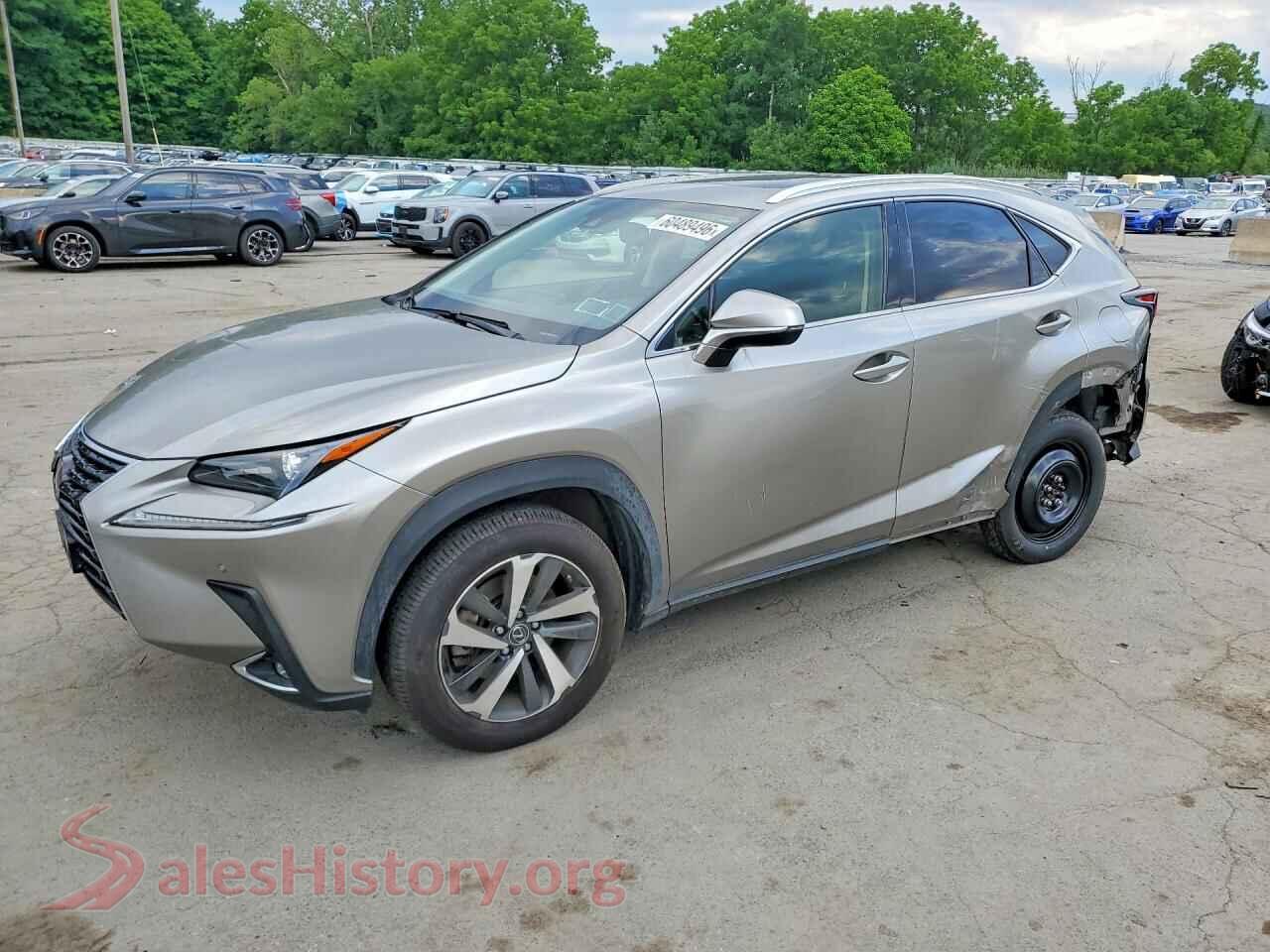 2020 LEXUS NX — VIN JTJGARDZXL2234080