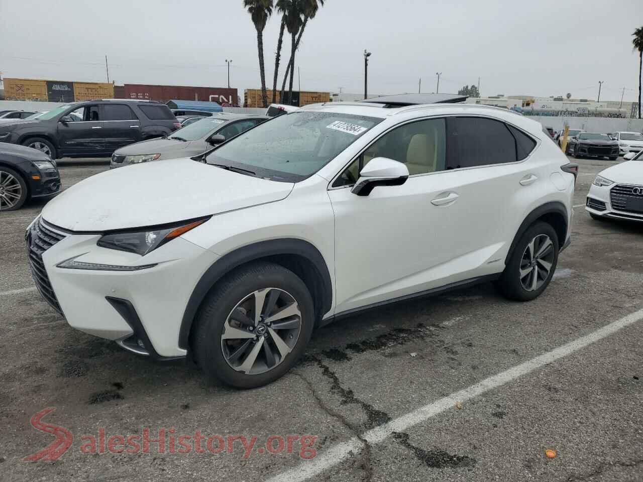2020 LEXUS NX — VIN JTJGJRDZ3L5009255