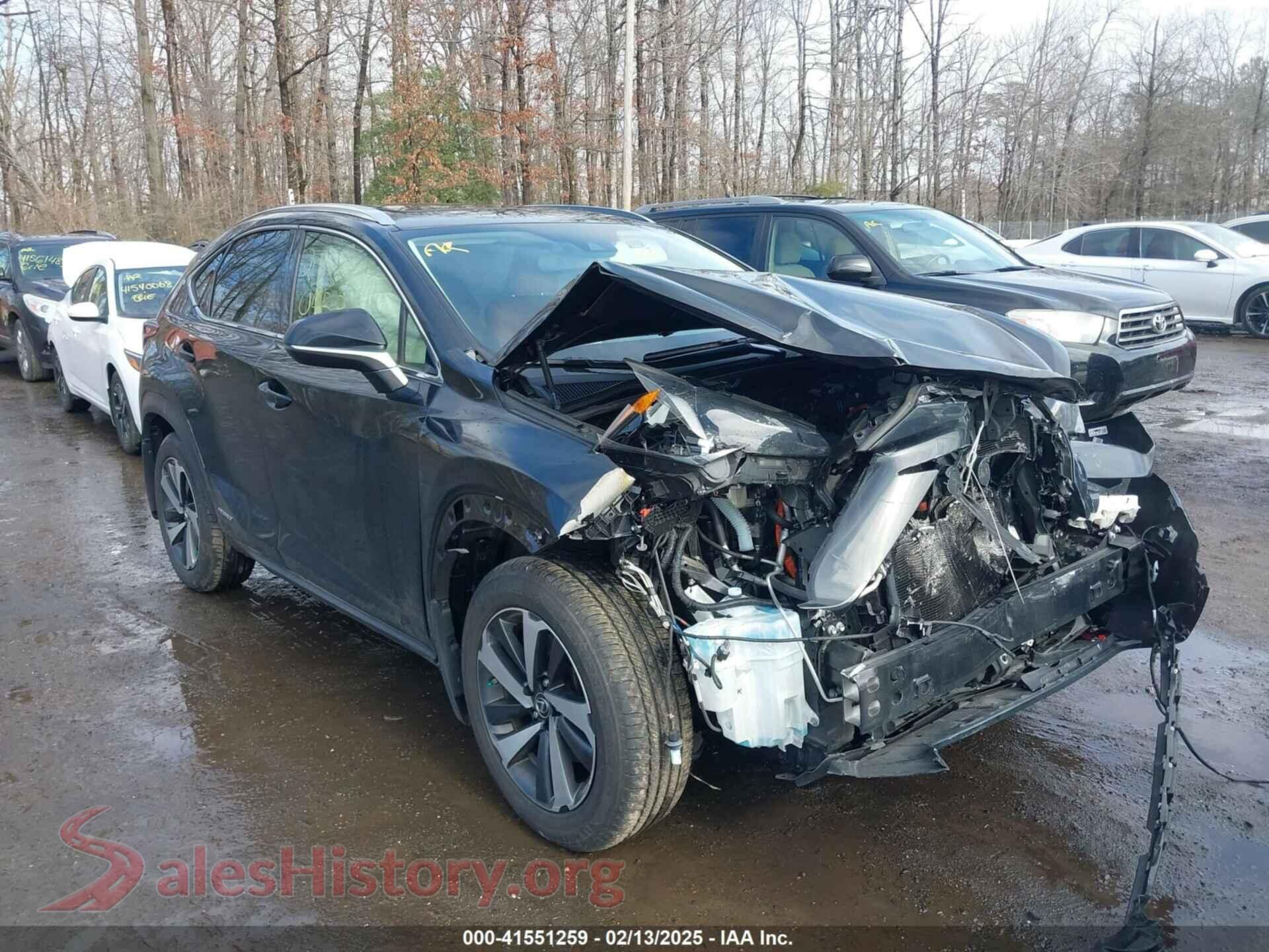 2021 LEXUS NX 300H — VIN JTJGJRDZ3M2146909