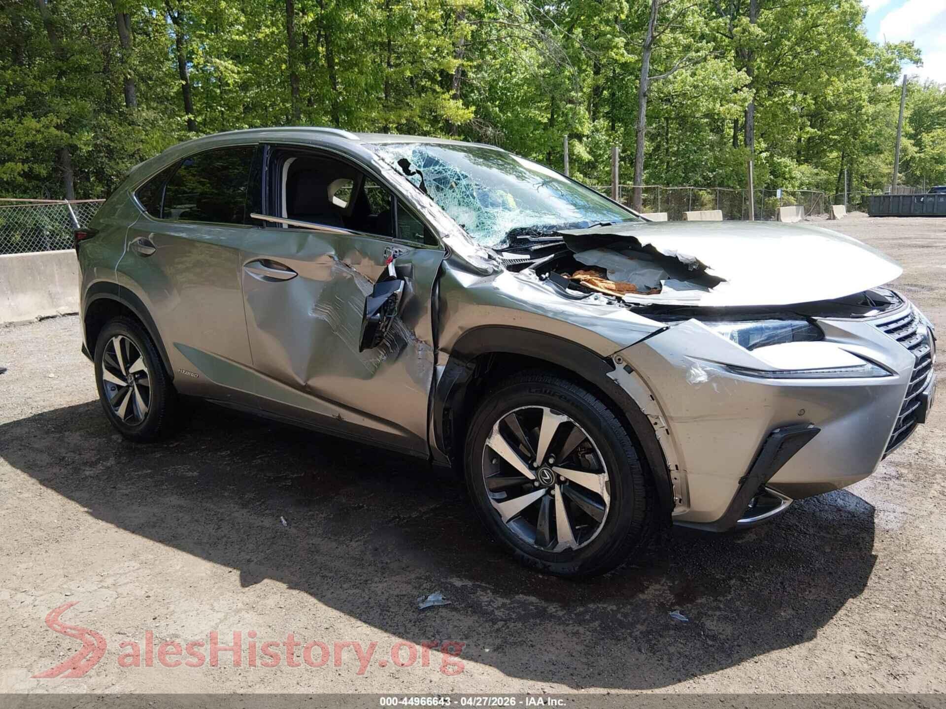 2021 LEXUS NX 300H — VIN JTJGJRDZ3M2164164