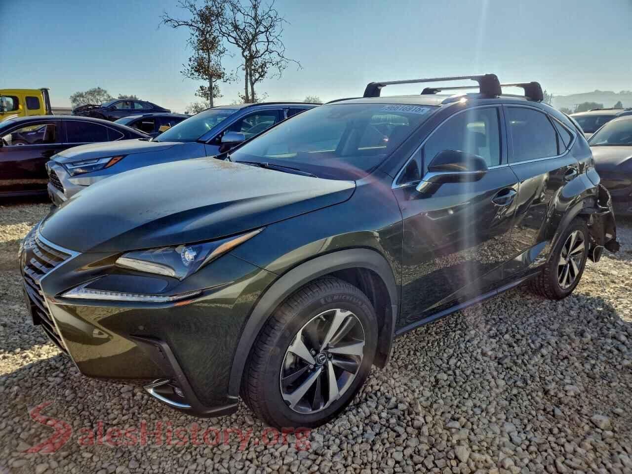 2021 LEXUS NX — VIN JTJGJRDZ4M2154324