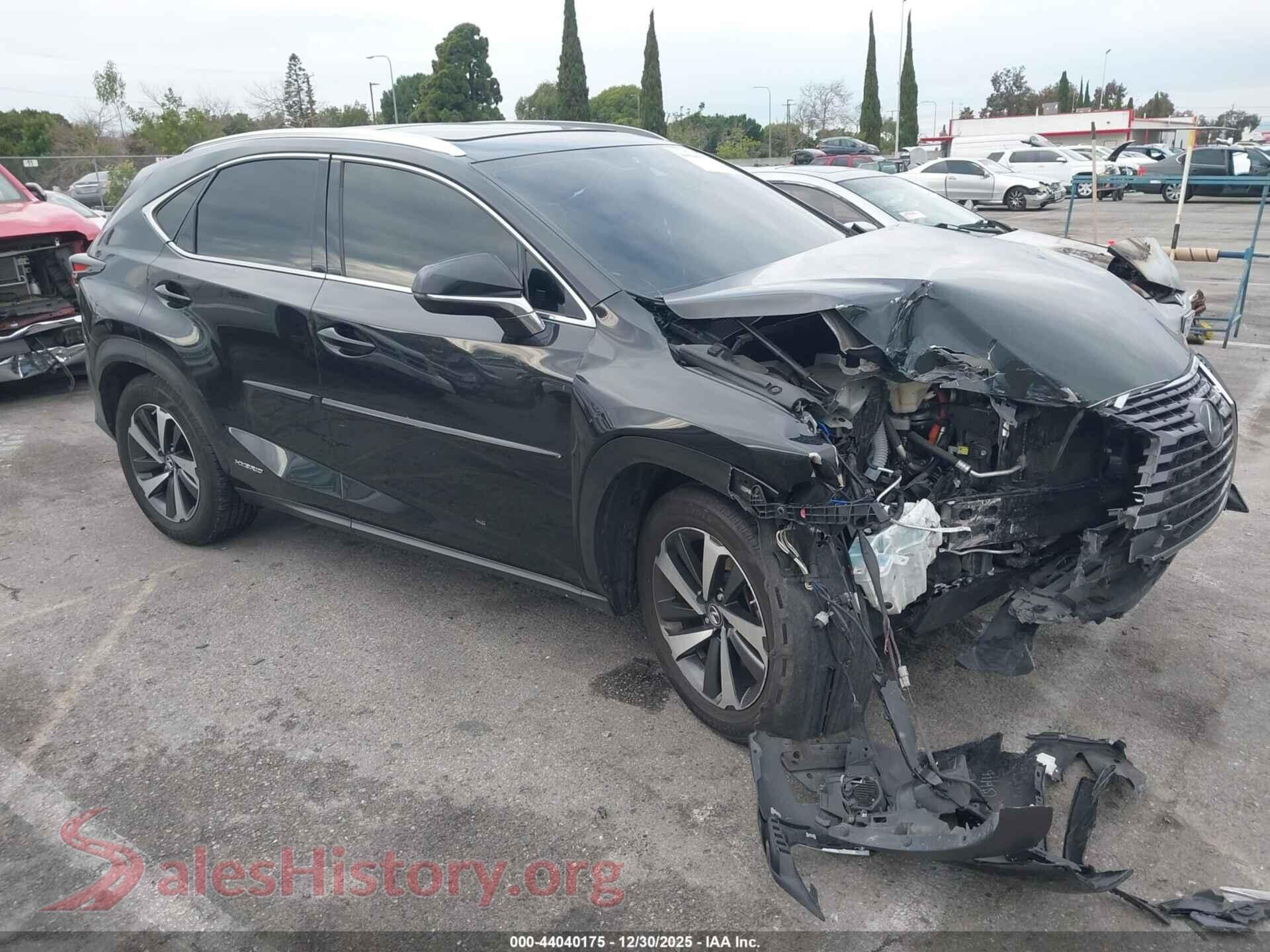 2020 LEXUS NX 300H — VIN JTJGJRDZ8L2146029