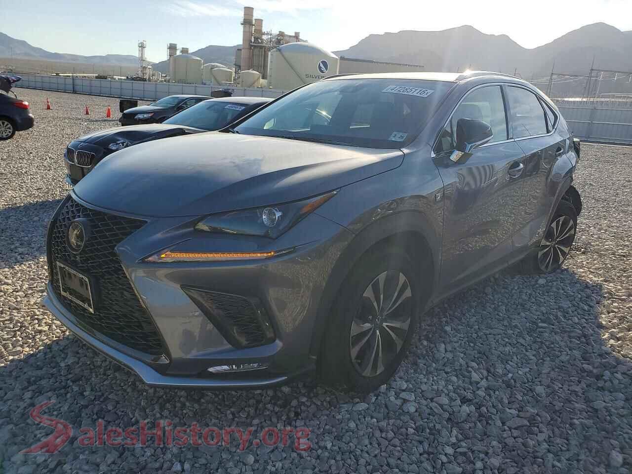 2021 LEXUS NX — VIN JTJSARDZ1M2243603