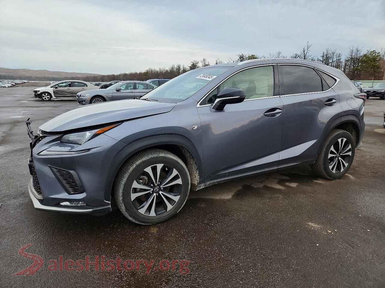 2021 LEXUS NX — VIN JTJSARDZ3M2244381