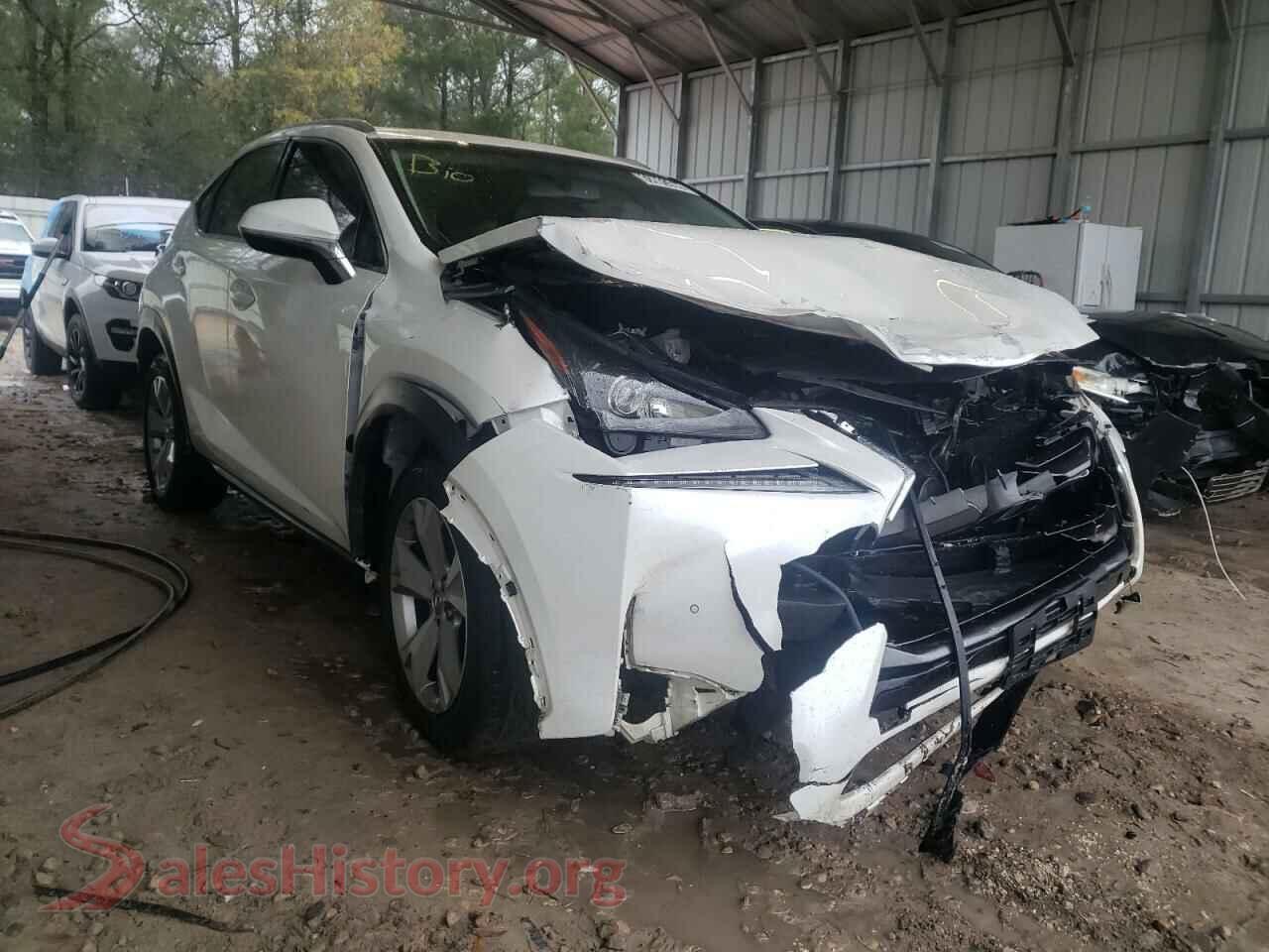 2017 LEXUS NX — VIN JTJYARBZ0H2065721