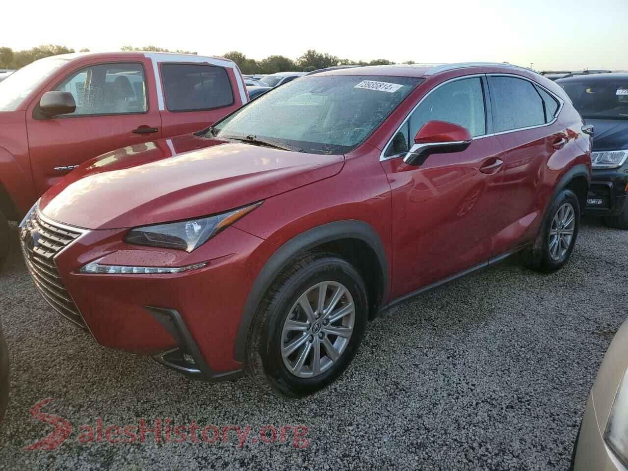 2019 LEXUS NX — VIN JTJYARBZ4K2120310