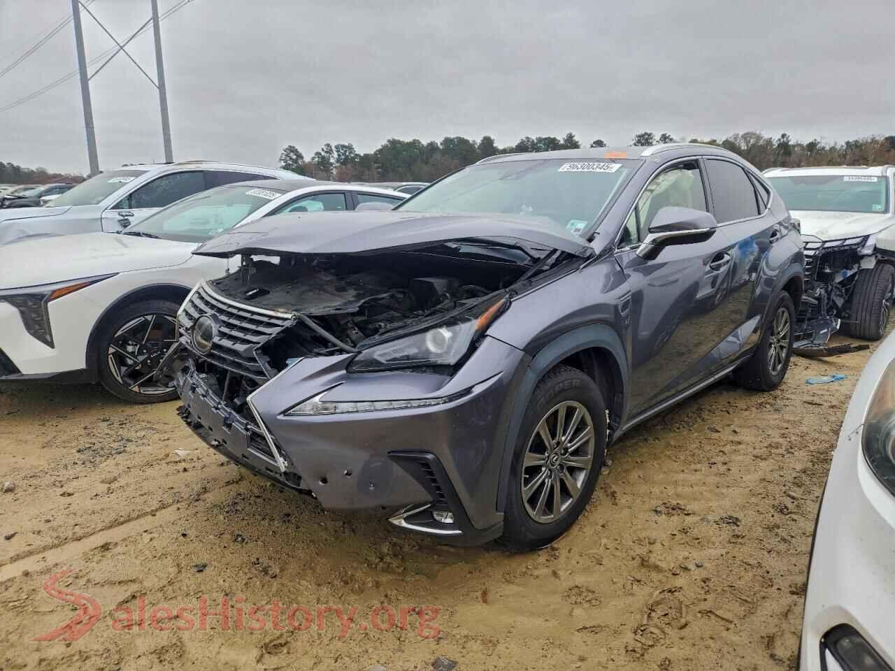 2019 LEXUS NX — VIN JTJYARBZ8K2118933