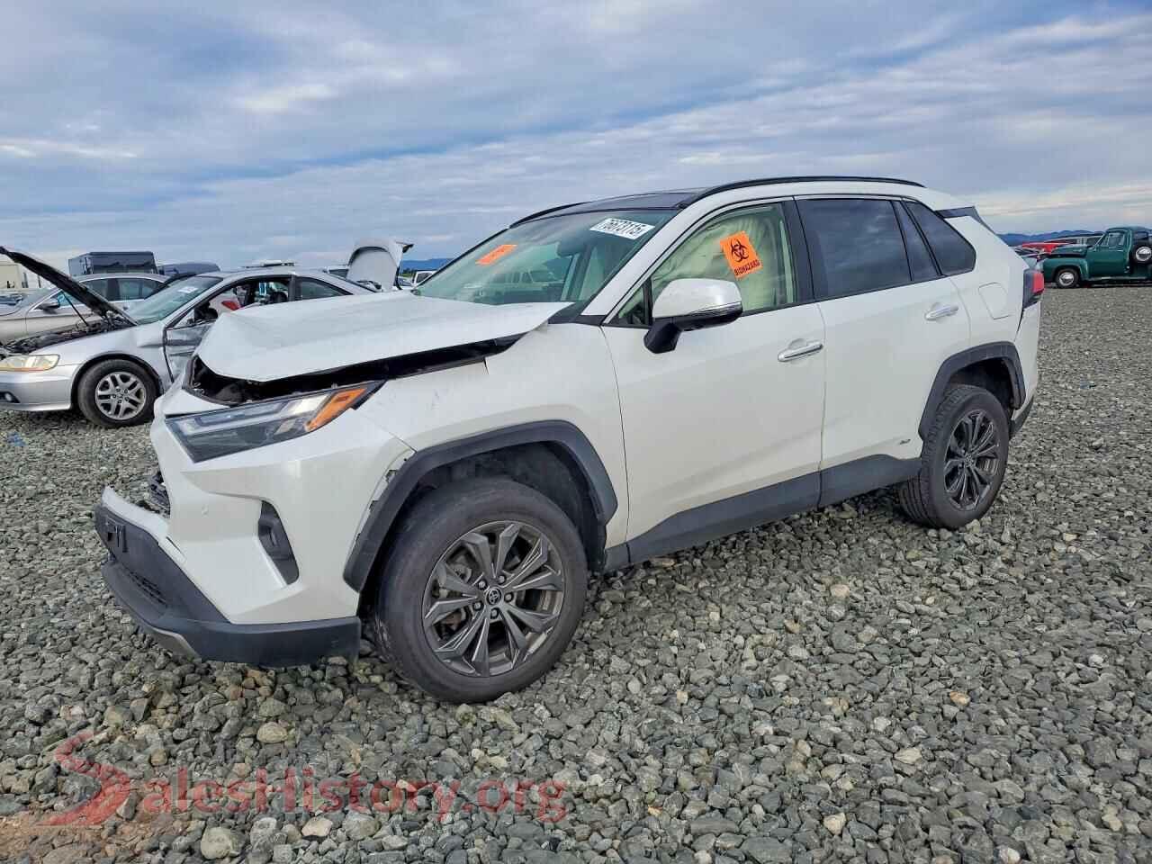 2023 TOYOTA RAV4 — VIN JTMD6RFV5PD544567