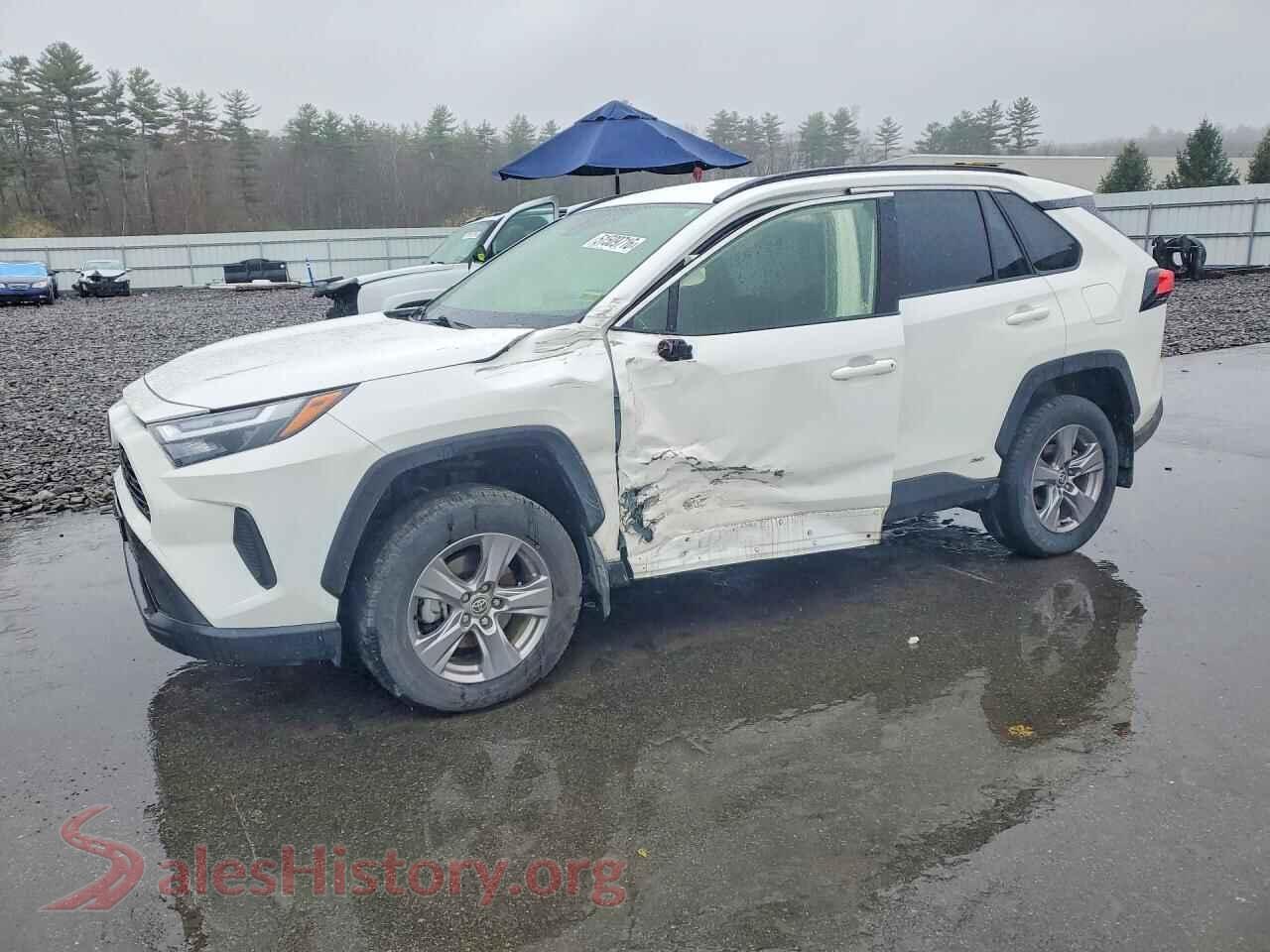 2024 TOYOTA RAV4 — VIN JTMMWRFV8RD264662