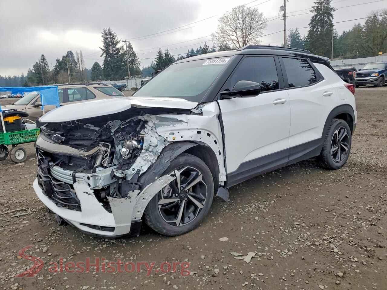 2021 CHEVROLET TRAILBLZR — VIN KL79MTSL7MB130319