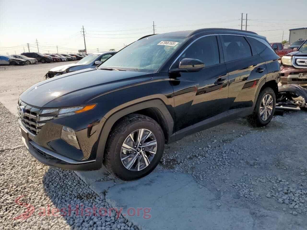 2024 HYUNDAI TUCSON — VIN KM8JBCD12RU211981
