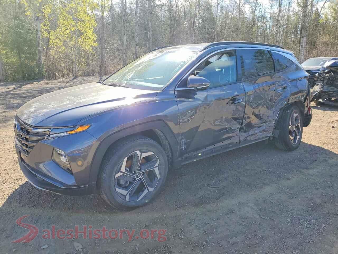 2024 HYUNDAI TUCSON — VIN KM8JCCD13RU209525