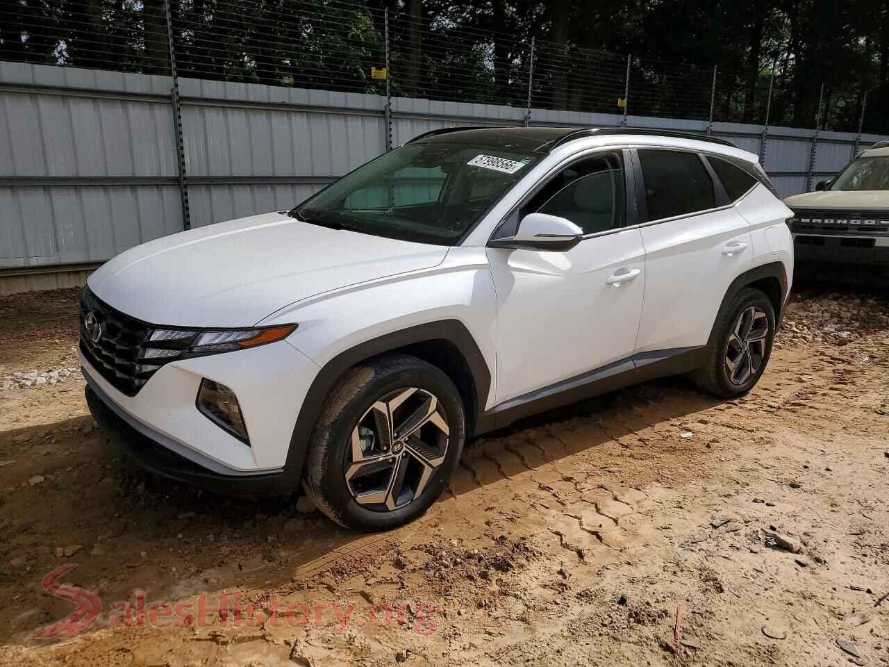 2024 HYUNDAI TUCSON — VIN KM8JCCD17RU236310