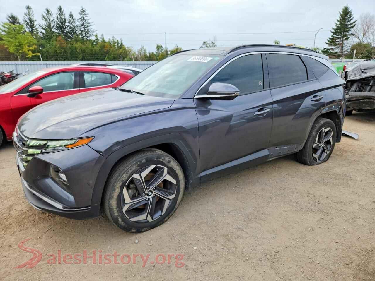 2024 HYUNDAI TUCSON — VIN KM8JCCD1XRU137013