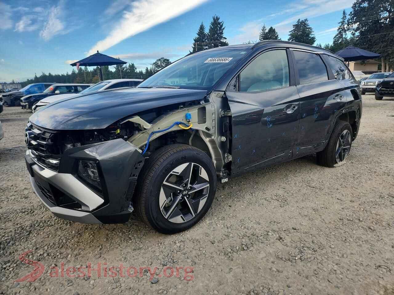 2025 HYUNDAI TUCSON — VIN KM8JCDD1XSU347509