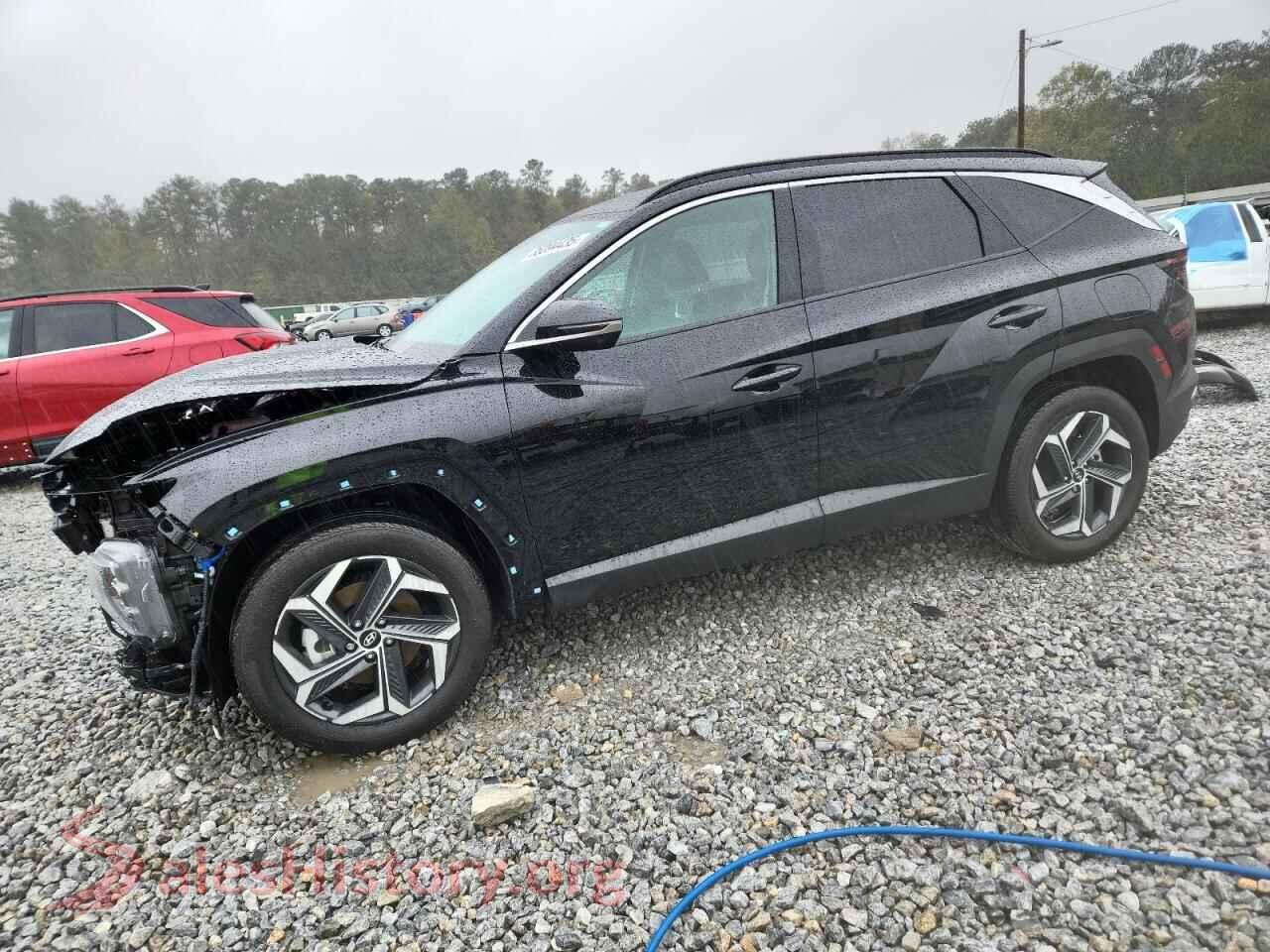 2024 HYUNDAI TUCSON HYBRID — VIN KM8JECD10RU189499