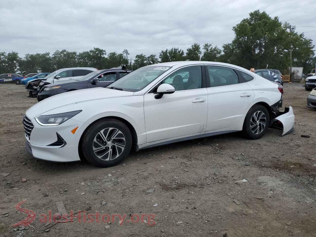 2021 HYUNDAI SONATA — VIN KMHL24JJ0MA026826