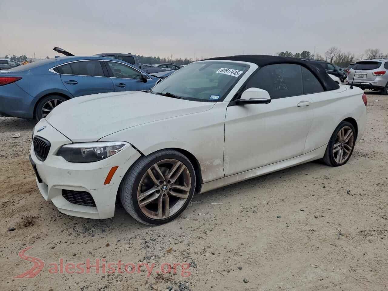 2016 BMW 2 SERIES — VIN WBA1K9C59GV710325