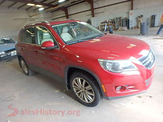 2009 VOLKSWAGEN TIGUAN — VIN WVGAV95N29W529194