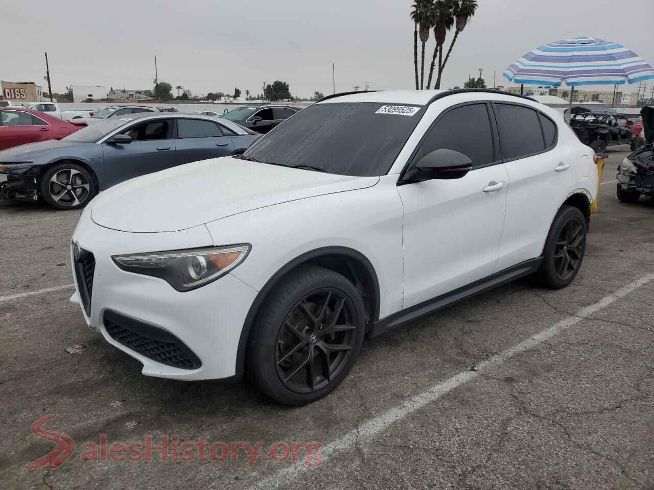 2019 ALFA ROMEO STELVIO — VIN ZASPAJAN2K7C43628