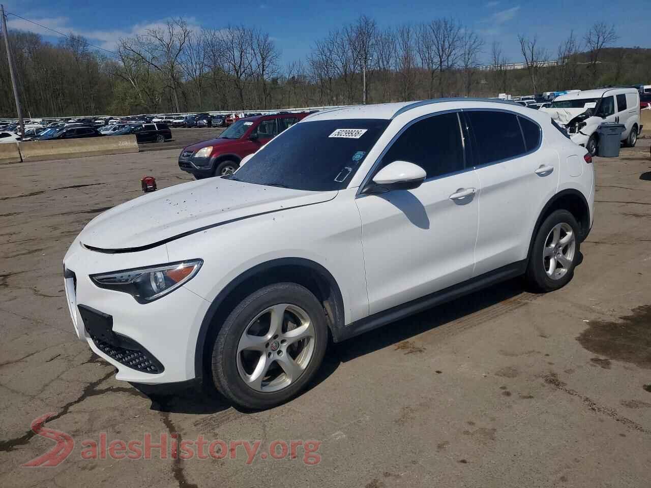2019 ALFA ROMEO STELVIO — VIN ZASPAJAN3K7C40804