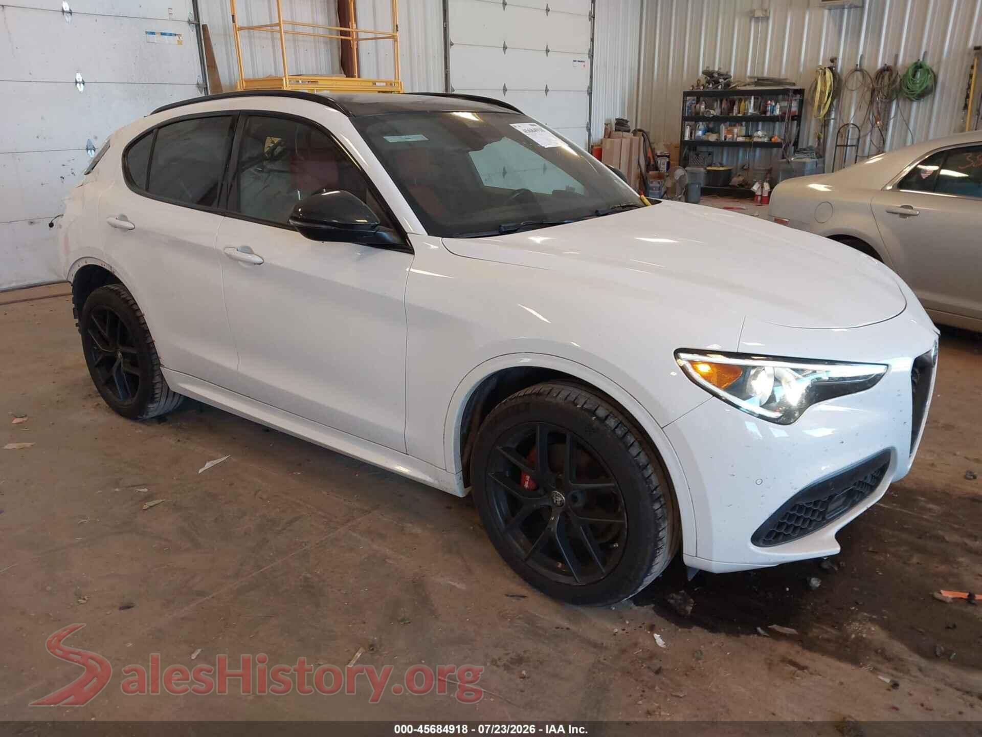 2020 ALFA ROMEO STELVIO — VIN ZASPAKAN5L7C76534