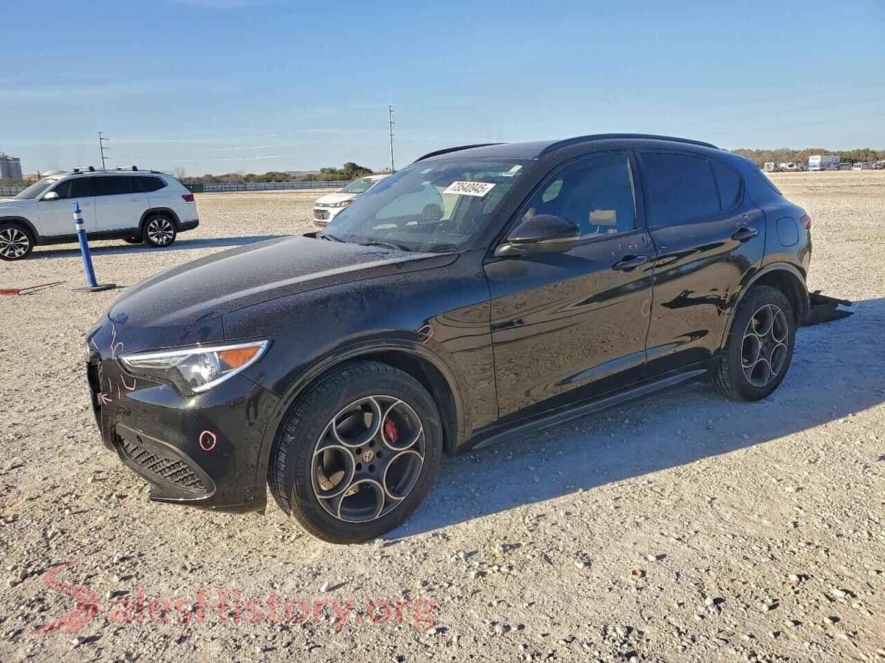 2020 ALFA ROMEO STELVIO — VIN ZASPAKAN9L7C98469