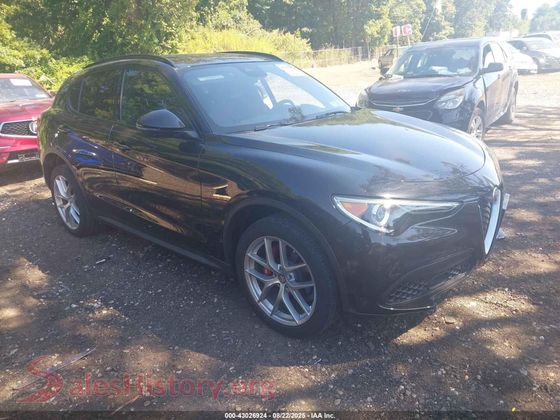 2019 ALFA ROMEO STELVIO — VIN ZASPAKBN4K7C40458